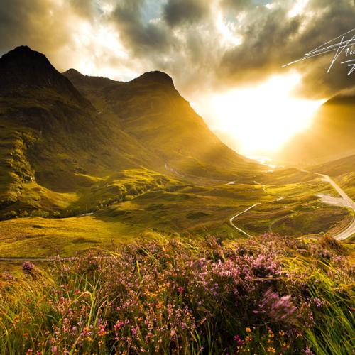 Les dernières heures de l'été (2017)